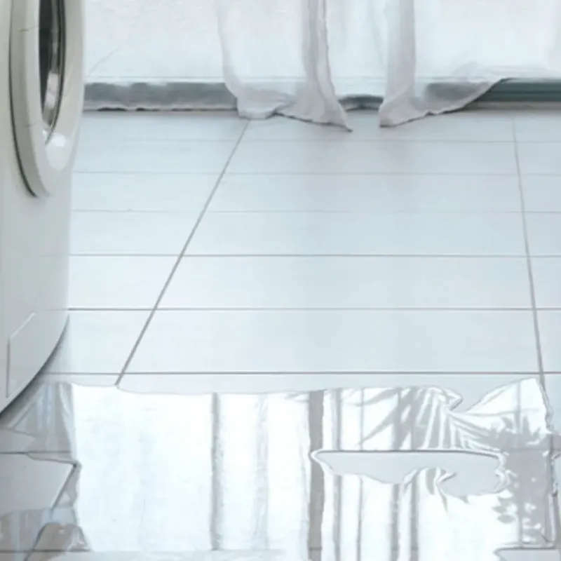 Appliance Leak Cleanup in Koloa, HI